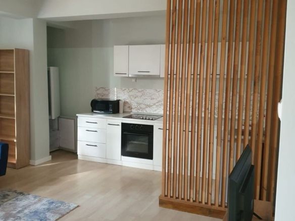 De inchiriat apartament cu o camera, centru, etaj 1, 400 E - foto 3