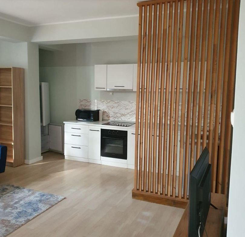 De inchiriat apartament cu o camera, centru, etaj 1, 400 E - foto 3
