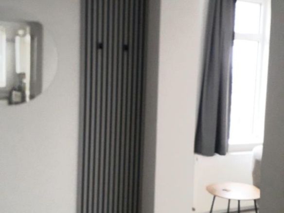 De inchiriat 2 apartamente cu 2 camere, etaj 1/2, strada Domneasca, 500 E - foto 3