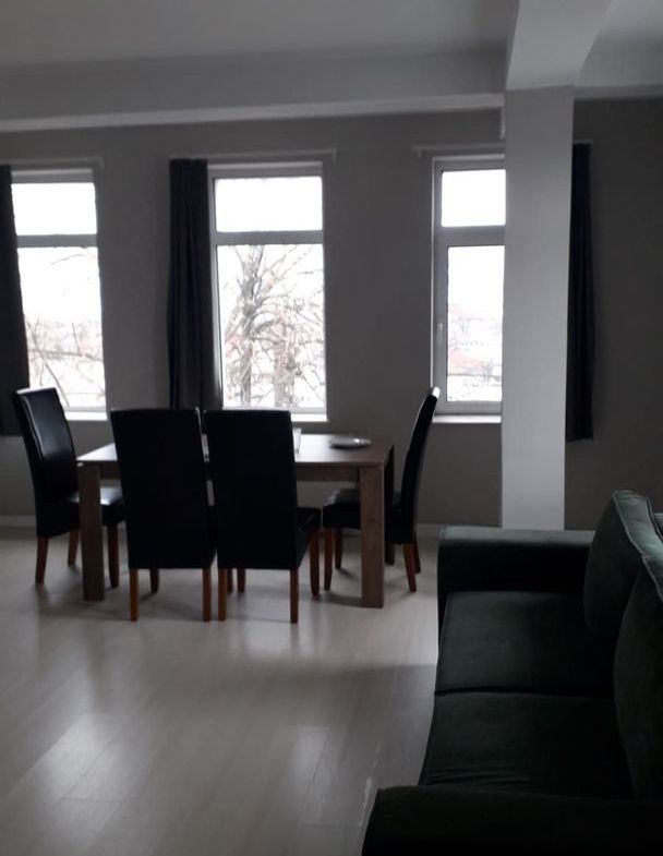 De inchiriat 2 apartamente cu 2 camere, etaj 1/2, strada Domneasca, 500 E - foto 6