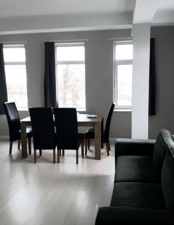 De inchiriat 2 apartamente cu 2 camere, etaj 1/2, strada Domneasca, 500 E - foto 7