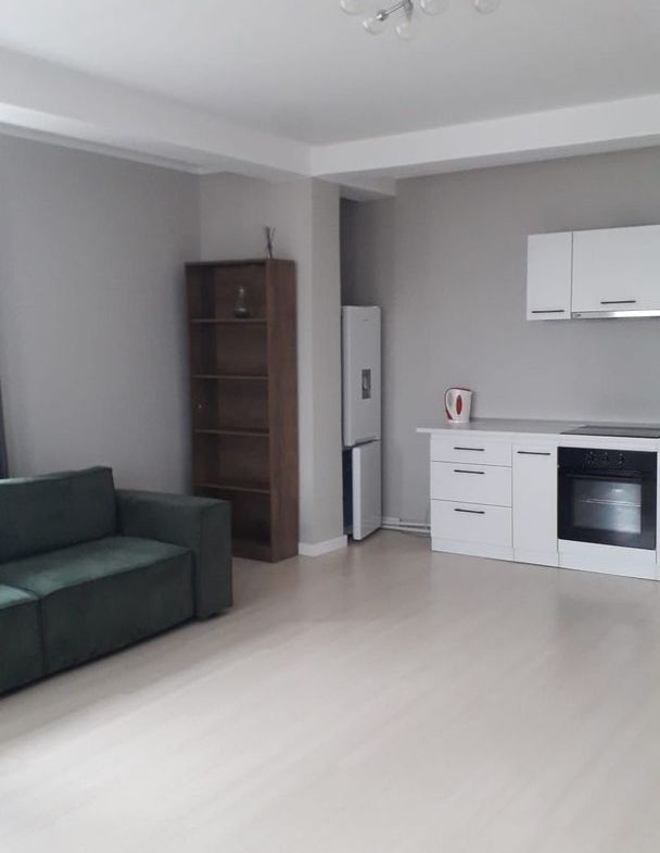 De inchiriat 2 apartamente cu 2 camere, etaj 1/2, strada Domneasca, 500 E - foto 8