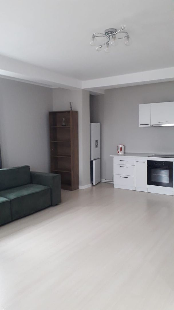 De inchiriat 2 apartamente cu 2 camere, etaj 1/2, strada Domneasca, 500 E - foto 8