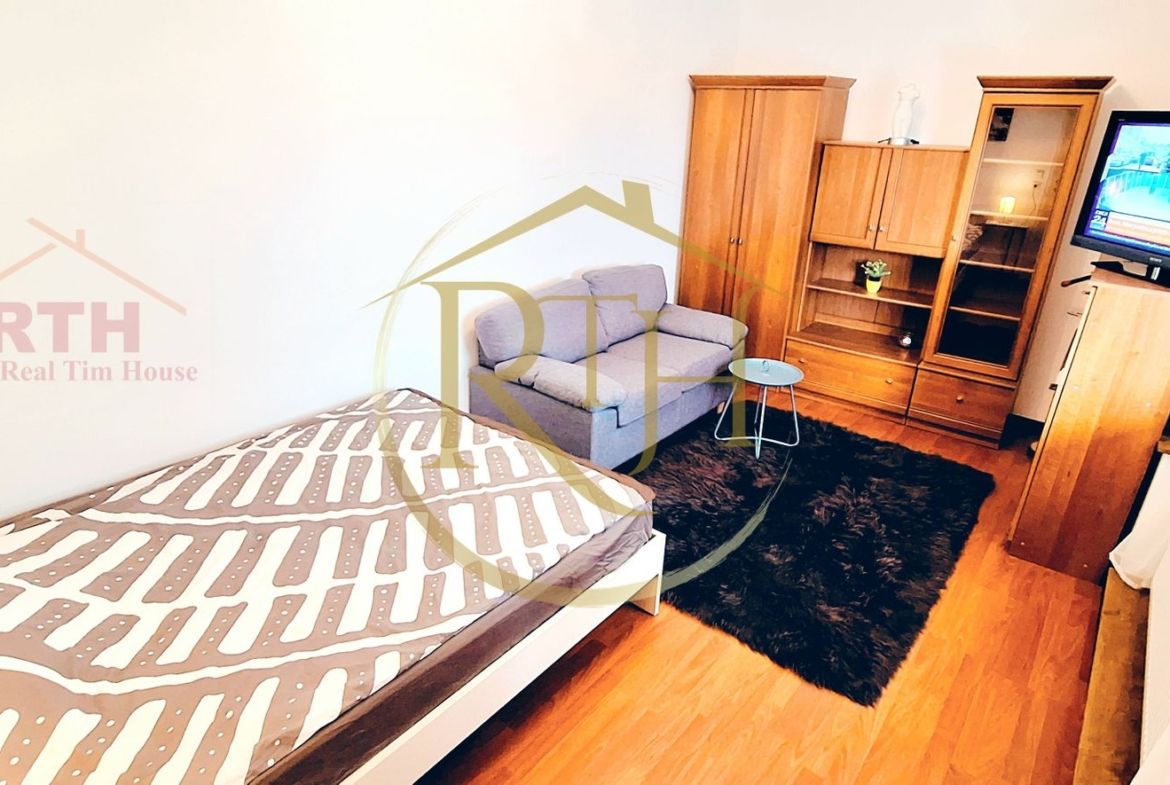 Apartament cu 1 cameră și terasă proprie de închiriat – Cheltuieli incluse - foto 2
