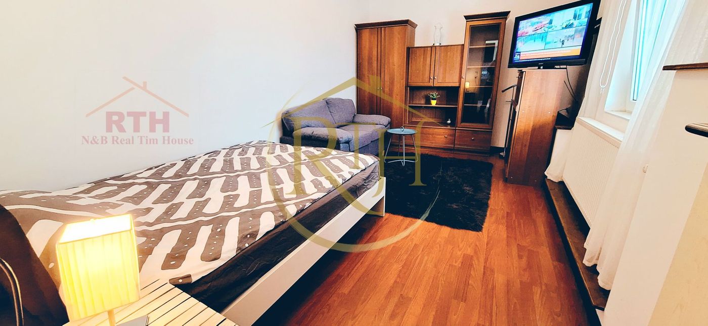 Apartament cu 1 cameră și terasă proprie de închiriat – Cheltuieli incluse - foto 4