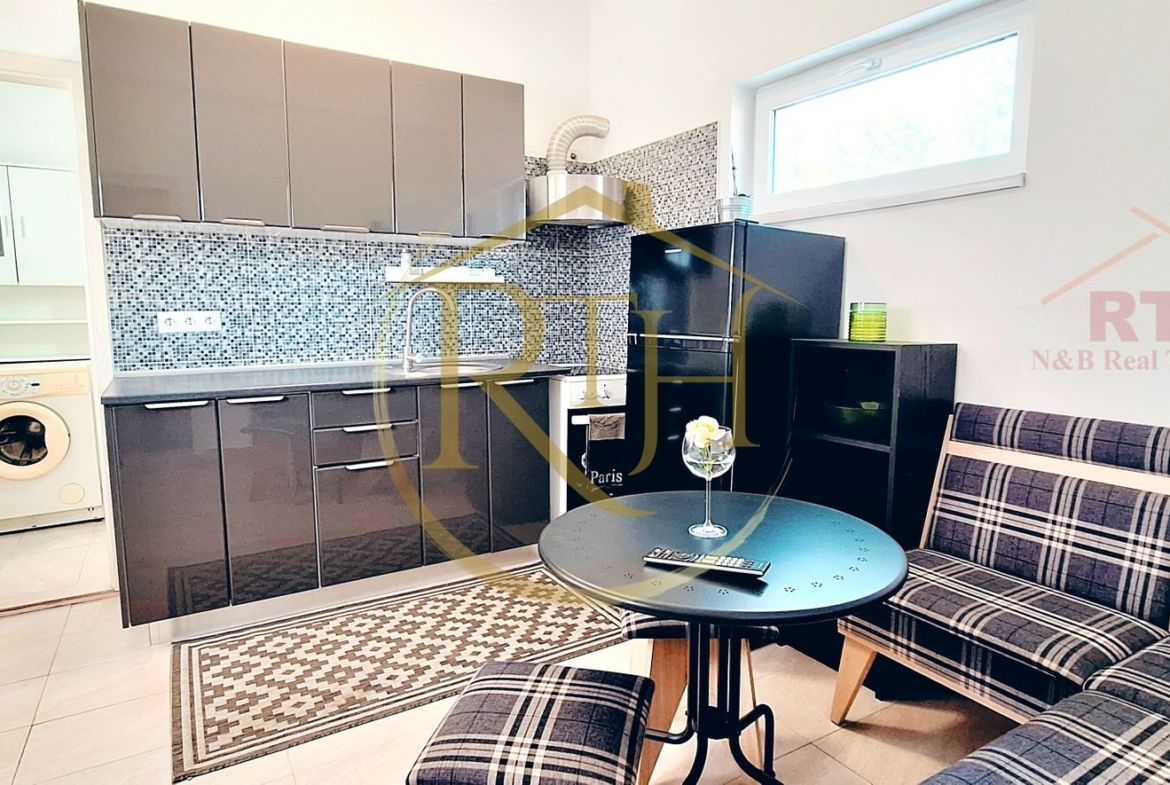 Apartament cu 1 cameră și terasă proprie de închiriat – Cheltuieli incluse - foto 8