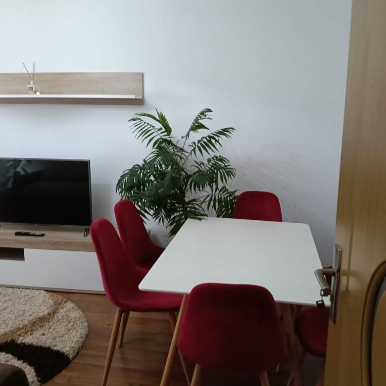 De inchiriat apartament spatios cu vedere la Dunare , etaj 5, 500 euro - Imagine principala