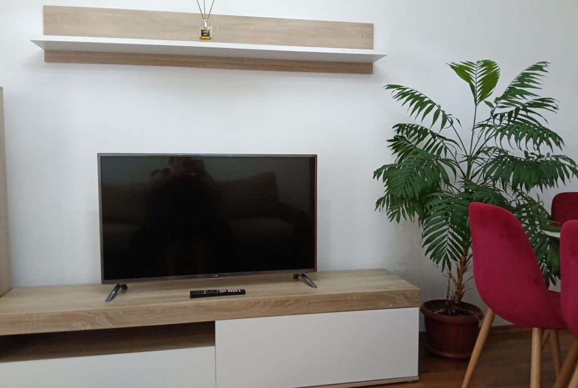 De inchiriat apartament spatios cu vedere la Dunare , etaj 5, 500 euro - foto 3
