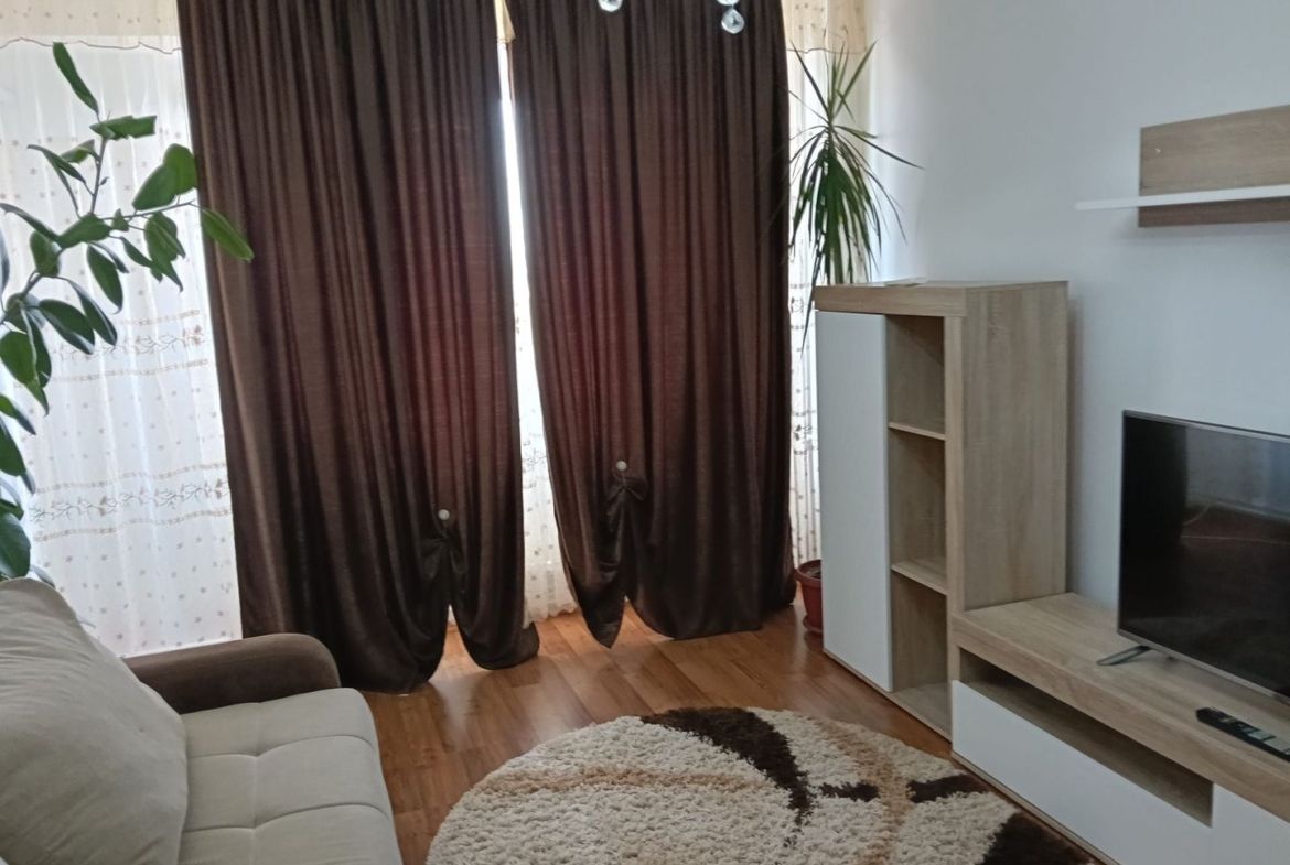 De inchiriat apartament spatios cu vedere la Dunare , etaj 5, 500 euro - foto 6