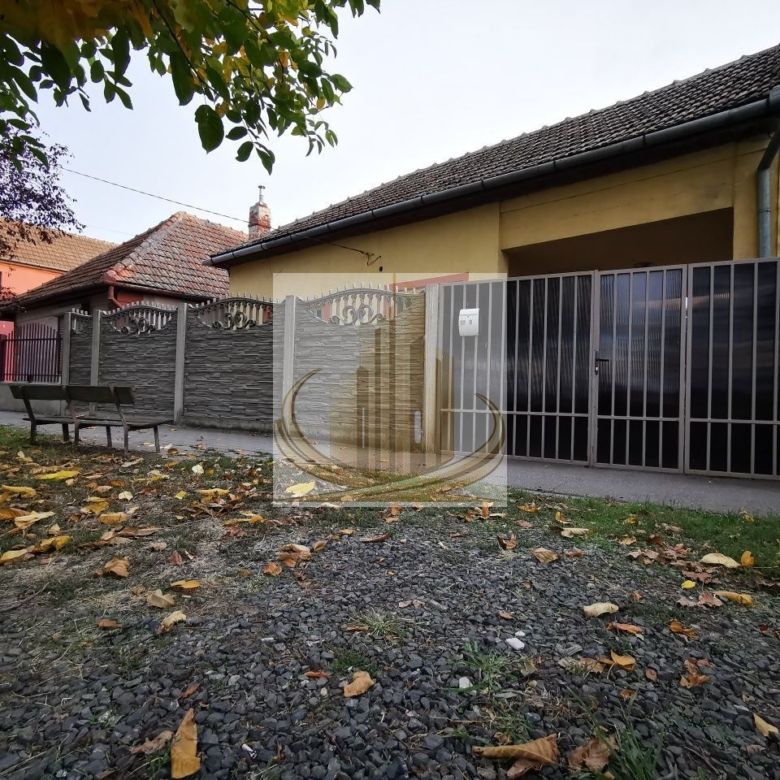 Casa individuala Mehala teren 740mp 200.000 Euro - Imagine principala