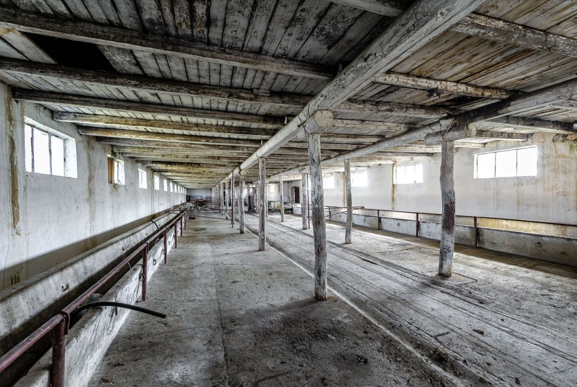 Fermă Mândruloc 2,5 ha - foto 2