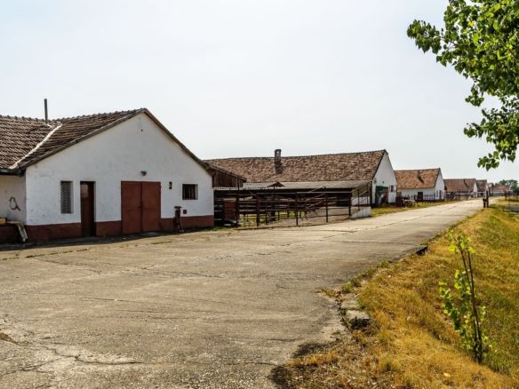 Fermă Mândruloc 2,5 ha - foto 3