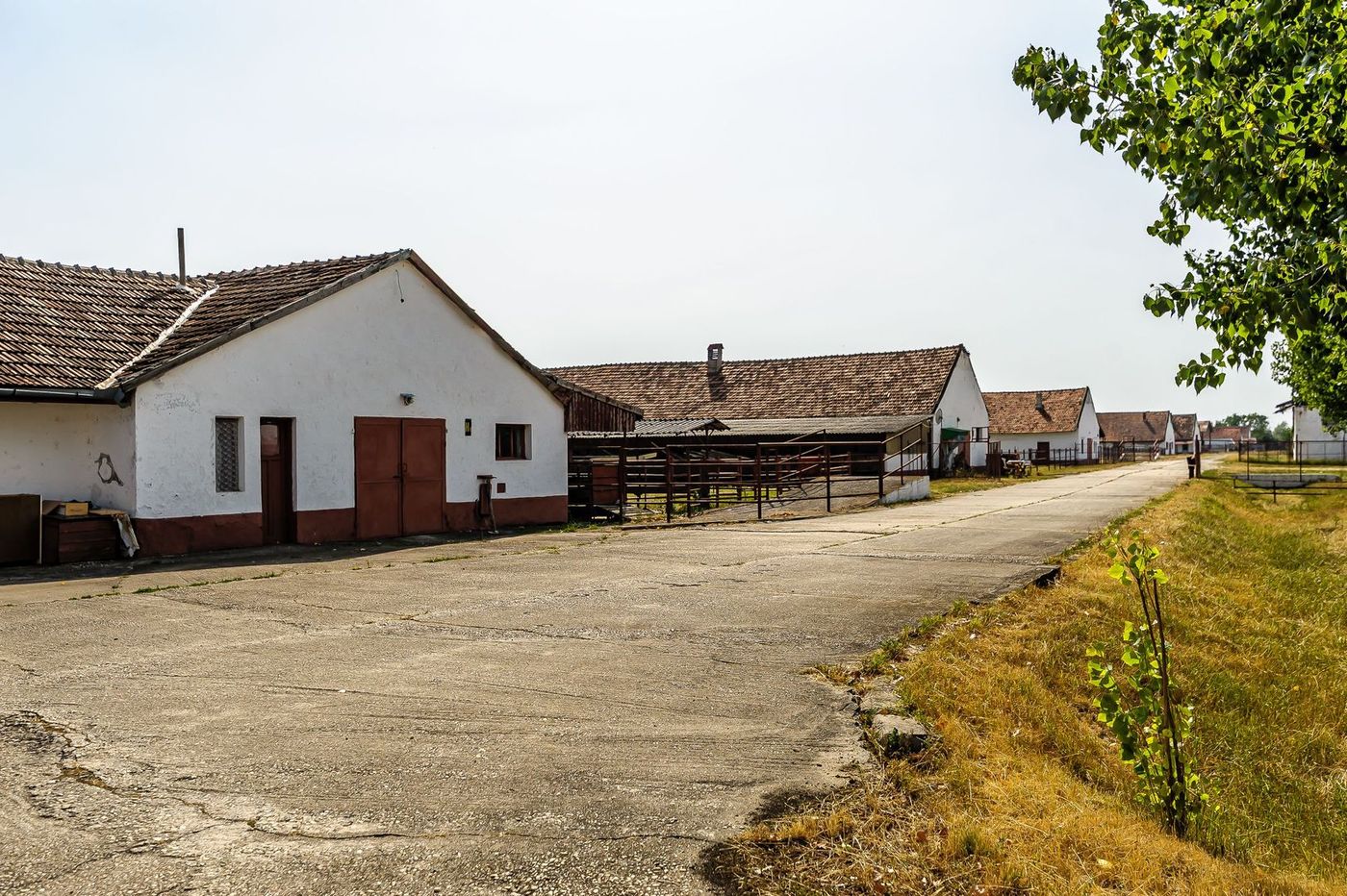 Fermă Mândruloc 2,5 ha - foto 3