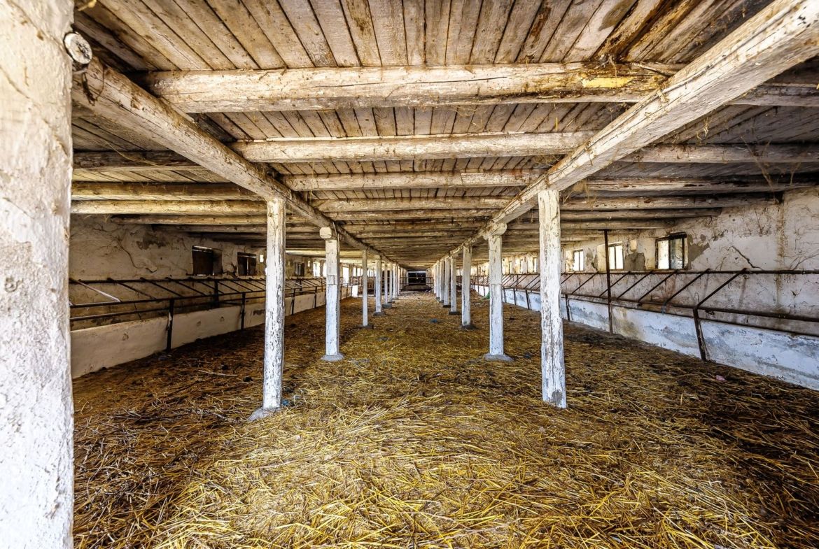 Fermă Mândruloc 2,5 ha - foto 4