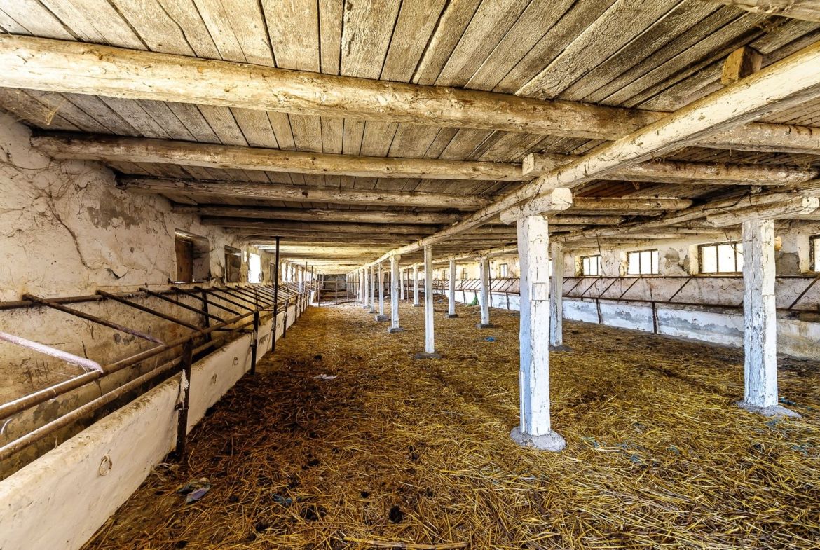 Fermă Mândruloc 2,5 ha - foto 5