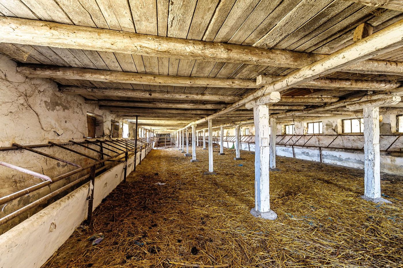 Fermă Mândruloc 2,5 ha - foto 5
