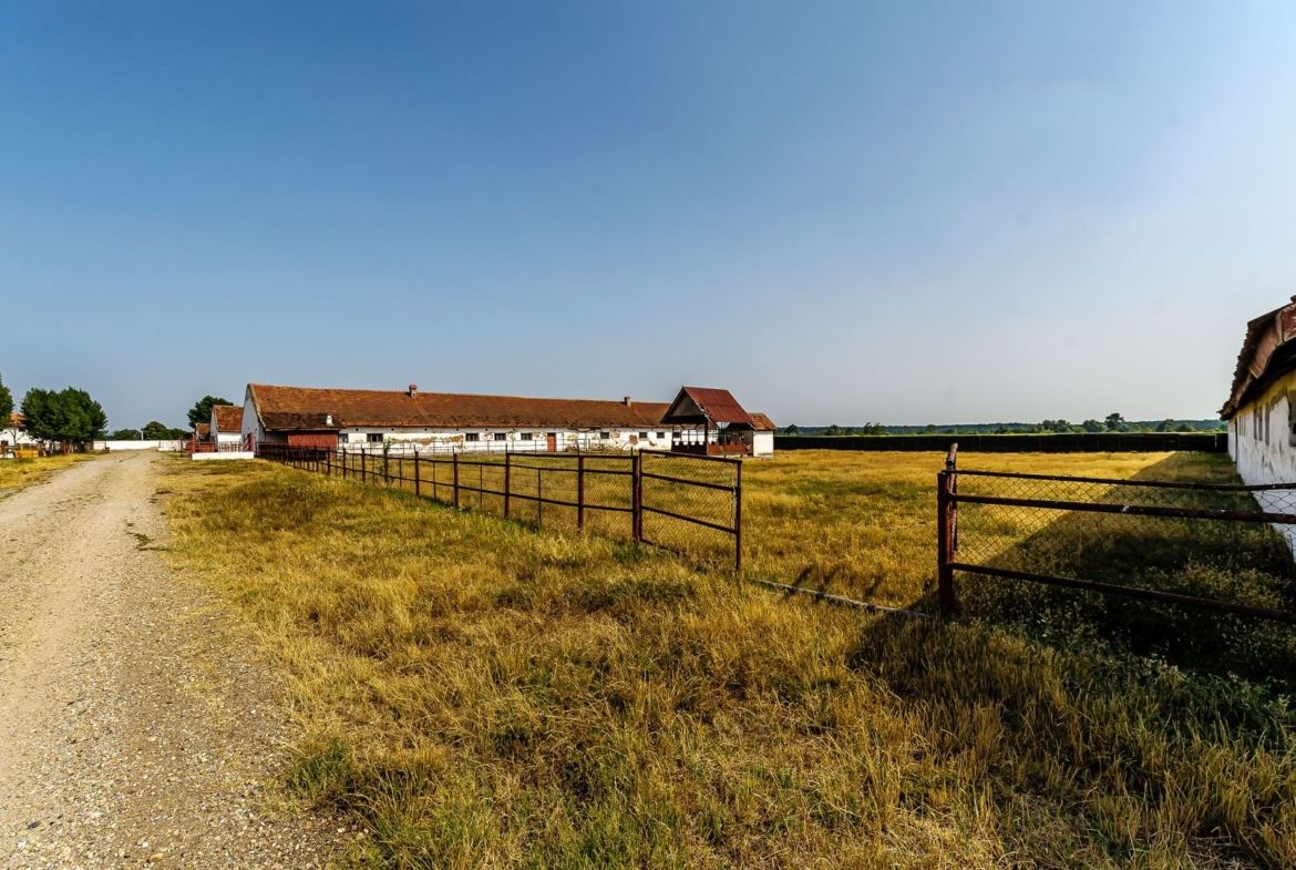 Fermă Mândruloc 2,5 ha - foto 6