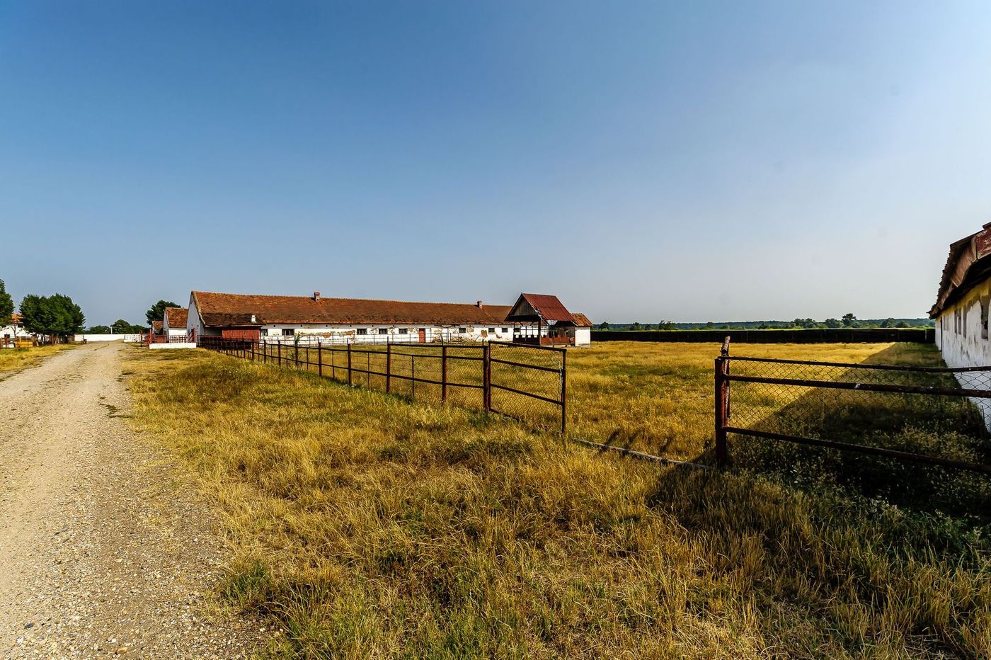 Fermă Mândruloc 2,5 ha - foto 6