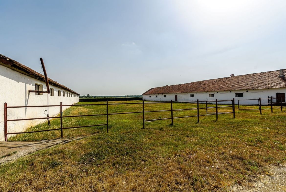 Fermă Mândruloc 2,5 ha - foto 7