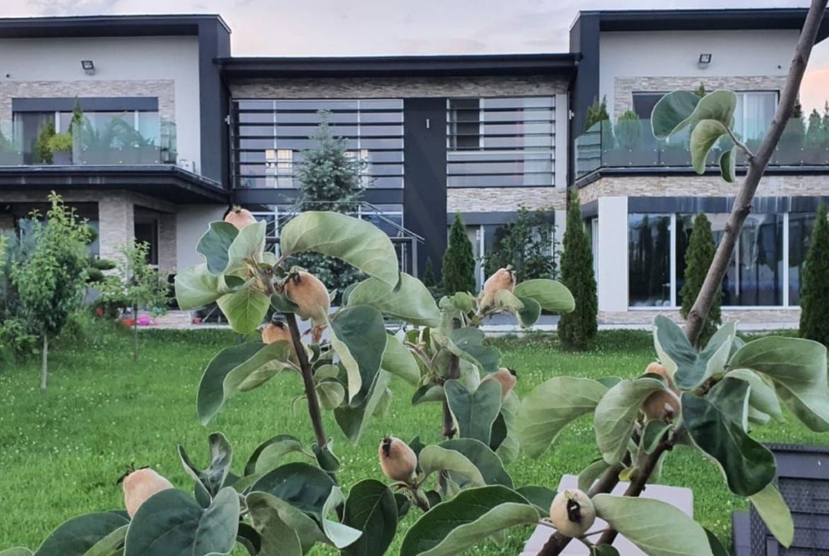 Vila ultrafinisata 550 mp utili si 2000 mp teren amenajat in Sibiu - foto 2