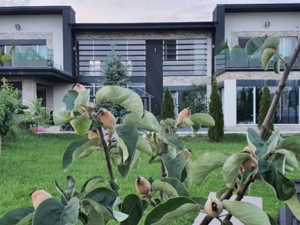 Vila ultrafinisata 550 mp utili si 2000 mp teren amenajat in Sibiu - foto 2
