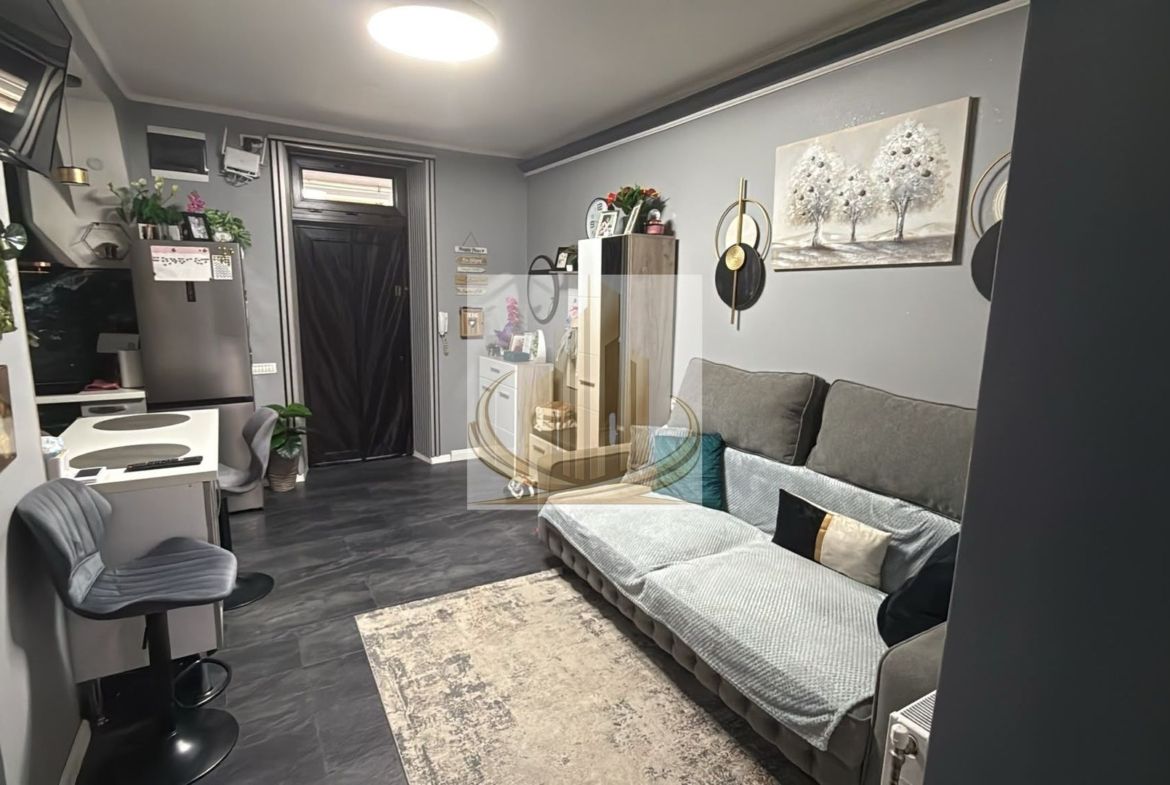 Apartament renovat & mobilat Take Ionescu ISHO - foto 3
