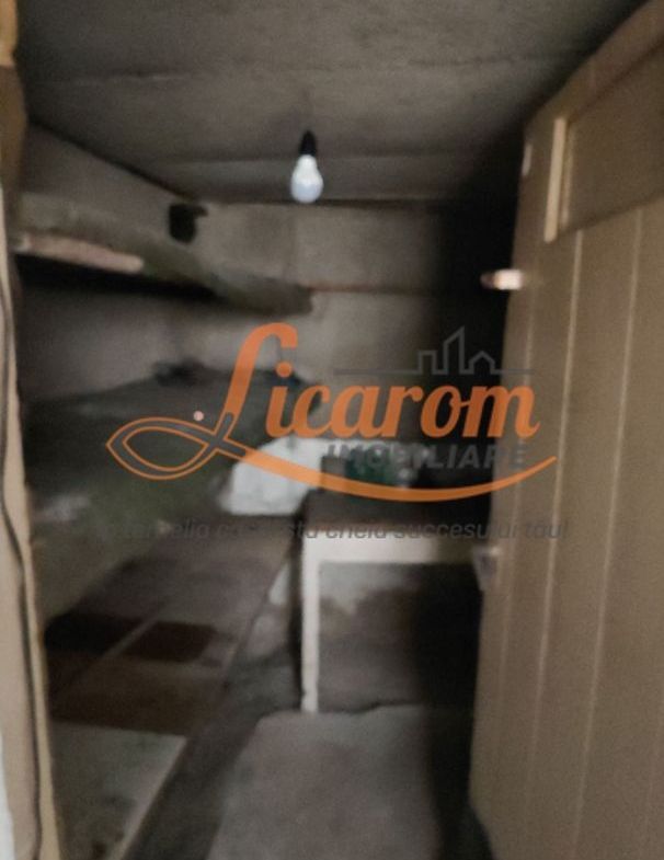 Blumana Proprietate singur in curte,2 corpuri de casa, fara amenajari - foto 6