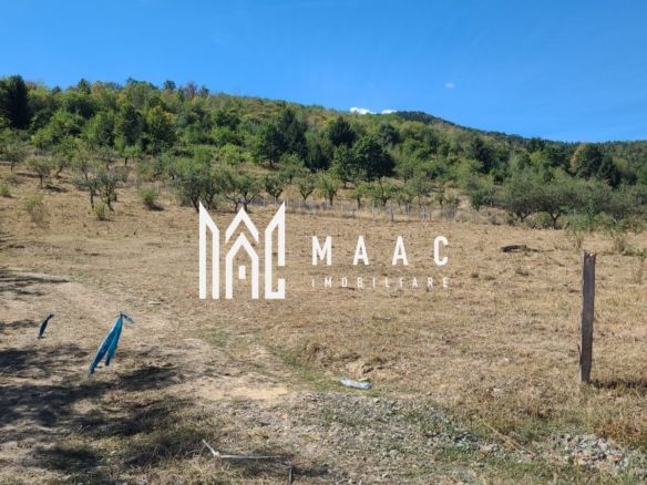 TEREN 5000 MP I SĂLIȘTE I PARCELABIL - Imagine principala