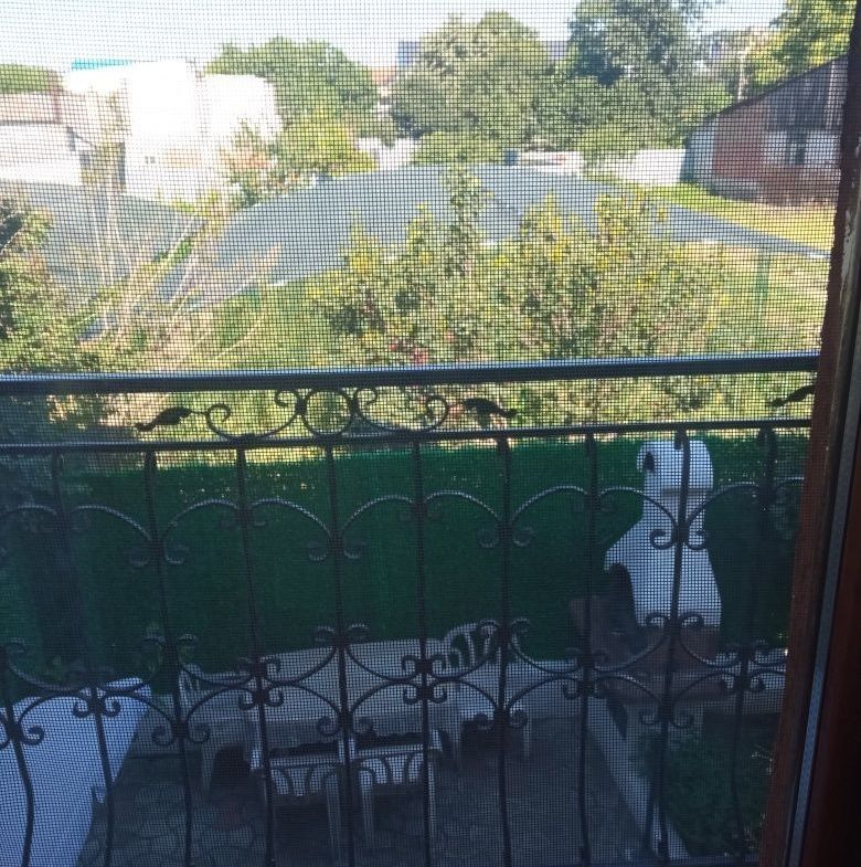 Casă 3 camere, Mazepa 2 - foto 4