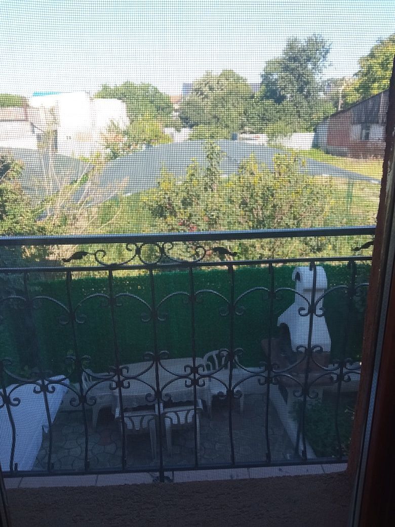 Casă 3 camere, Mazepa 2 - foto 4
