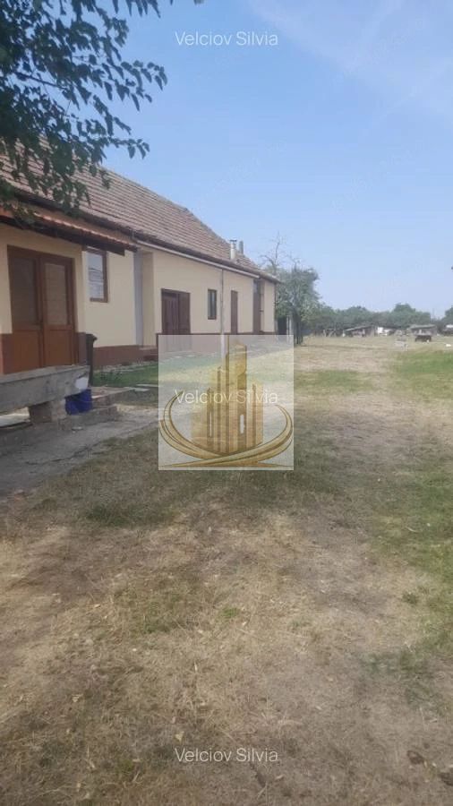 Casă individuală Dudeștii Noi | 2.526 mp teren | Pivniță - foto 7 Casă individuală Dudeștii Noi | 2.526 mp teren | Pivniță - foto 7