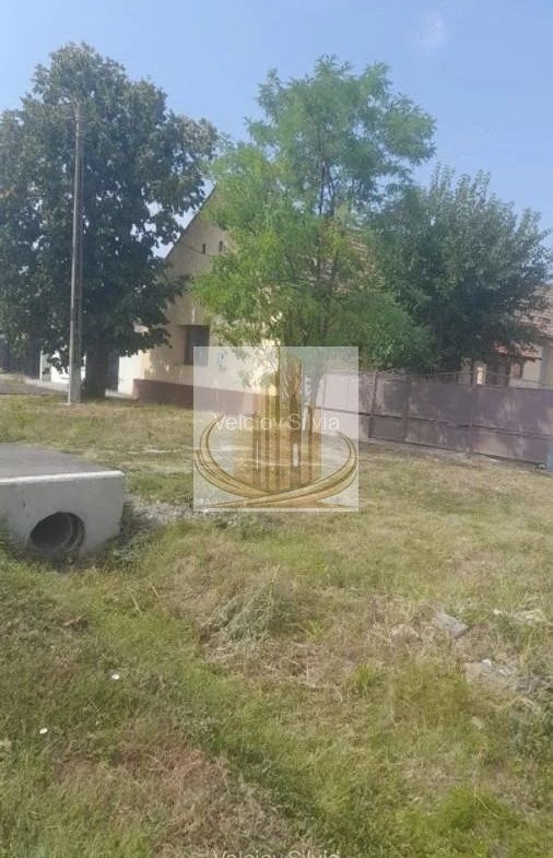 Casă individuală Dudeștii Noi | 2.526 mp teren | Pivniță - foto 8
