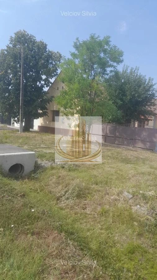 Casă individuală Dudeștii Noi | 2.526 mp teren | Pivniță - foto 8 Casă individuală Dudeștii Noi | 2.526 mp teren | Pivniță - foto 8