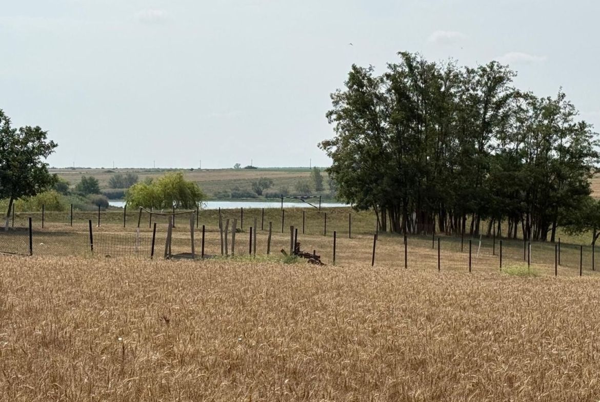 Teren intravilan Miersig, vedere la lac. 12,5 E/mp neg. Comision 0 - foto 4
