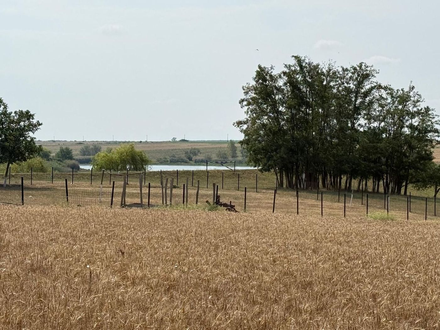 Teren intravilan Miersig, vedere la lac. 12,5 E/mp neg. Comision 0 - foto 4