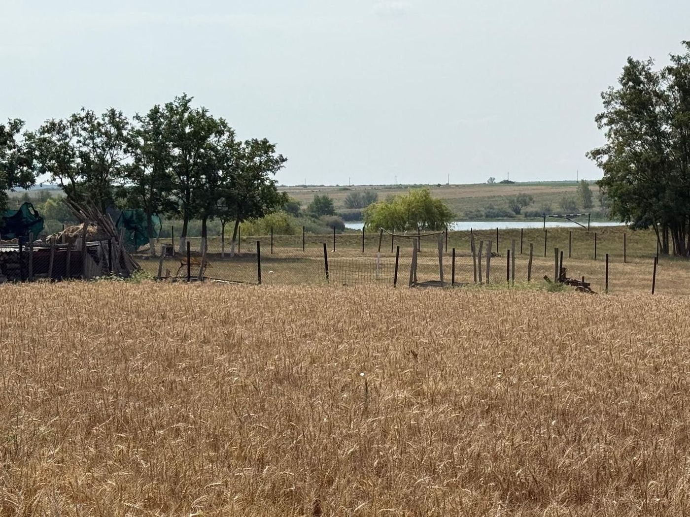 Teren intravilan Miersig, vedere la lac. 12,5 E/mp neg. Comision 0 - foto 5