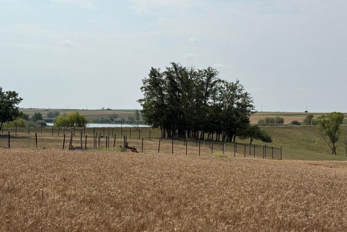 Teren intravilan Miersig, vedere la lac. 12,5 E/mp neg. Comision 0 - foto 6