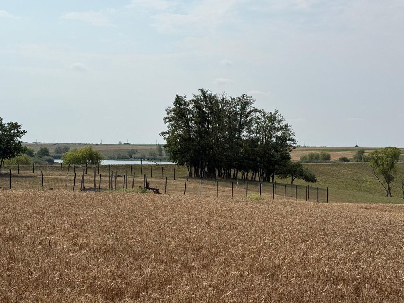 Teren intravilan Miersig, vedere la lac. 12,5 E/mp neg. Comision 0 - foto 6
