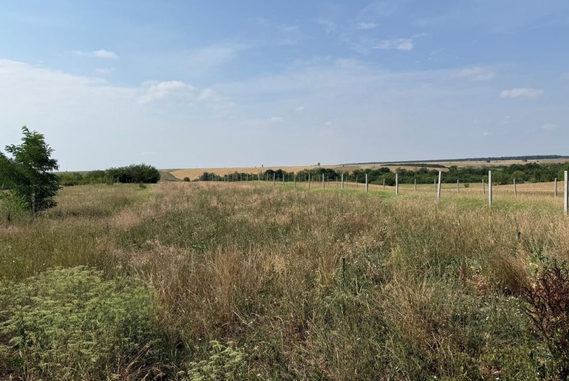 Teren intravilan Miersig, vedere la lac. 12,5 E/mp neg. Comision 0 - foto 7