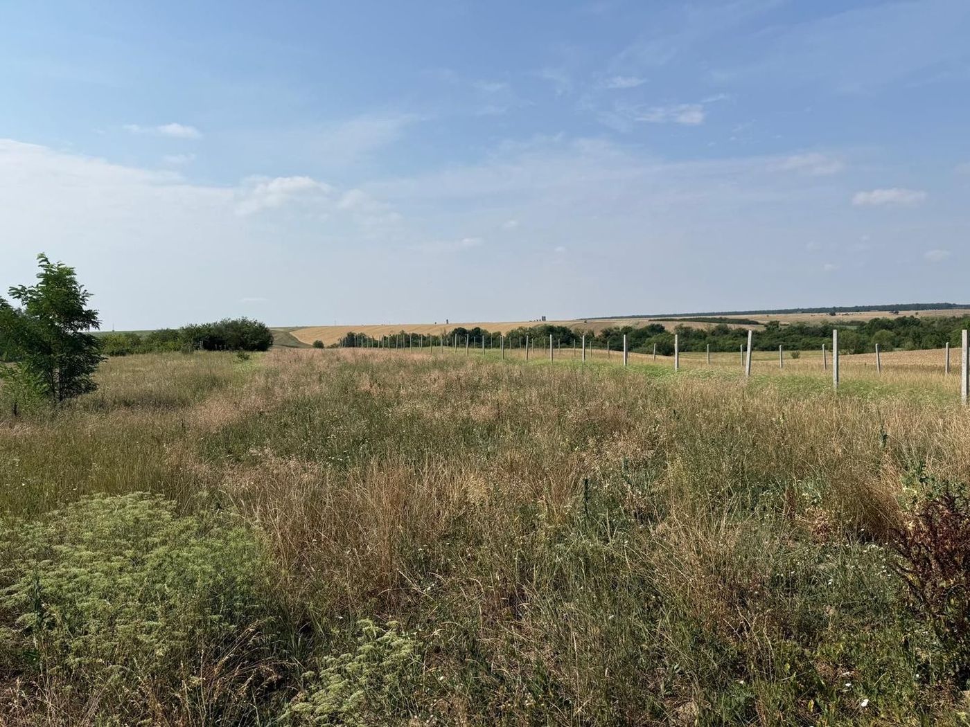 Teren intravilan Miersig, vedere la lac. 12,5 E/mp neg. Comision 0 - foto 7