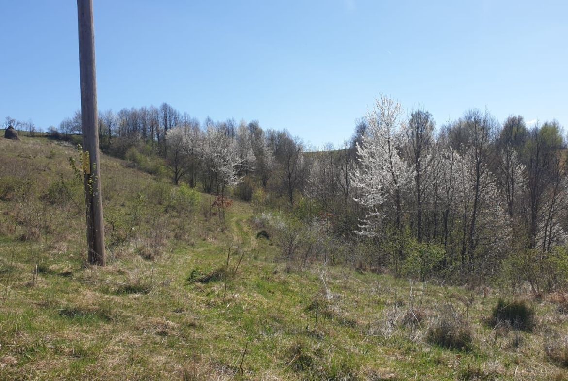 Teren cu panoramă fabuloasă, 10.059 mp, Roșia. 19.000 EUR. Comision 0 - foto 2