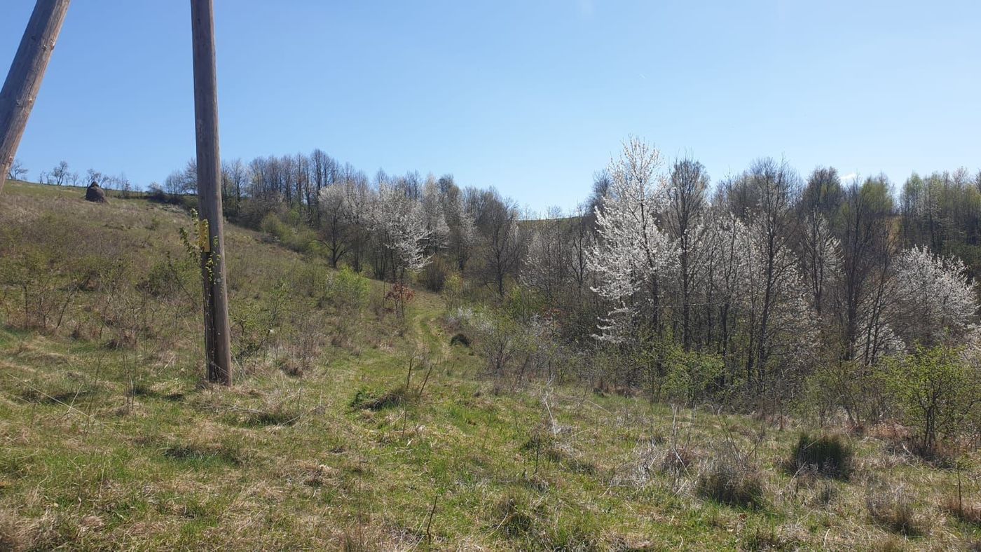 Teren cu panoramă fabuloasă, 10.059 mp, Roșia. 19.000 EUR. Comision 0 - foto 2