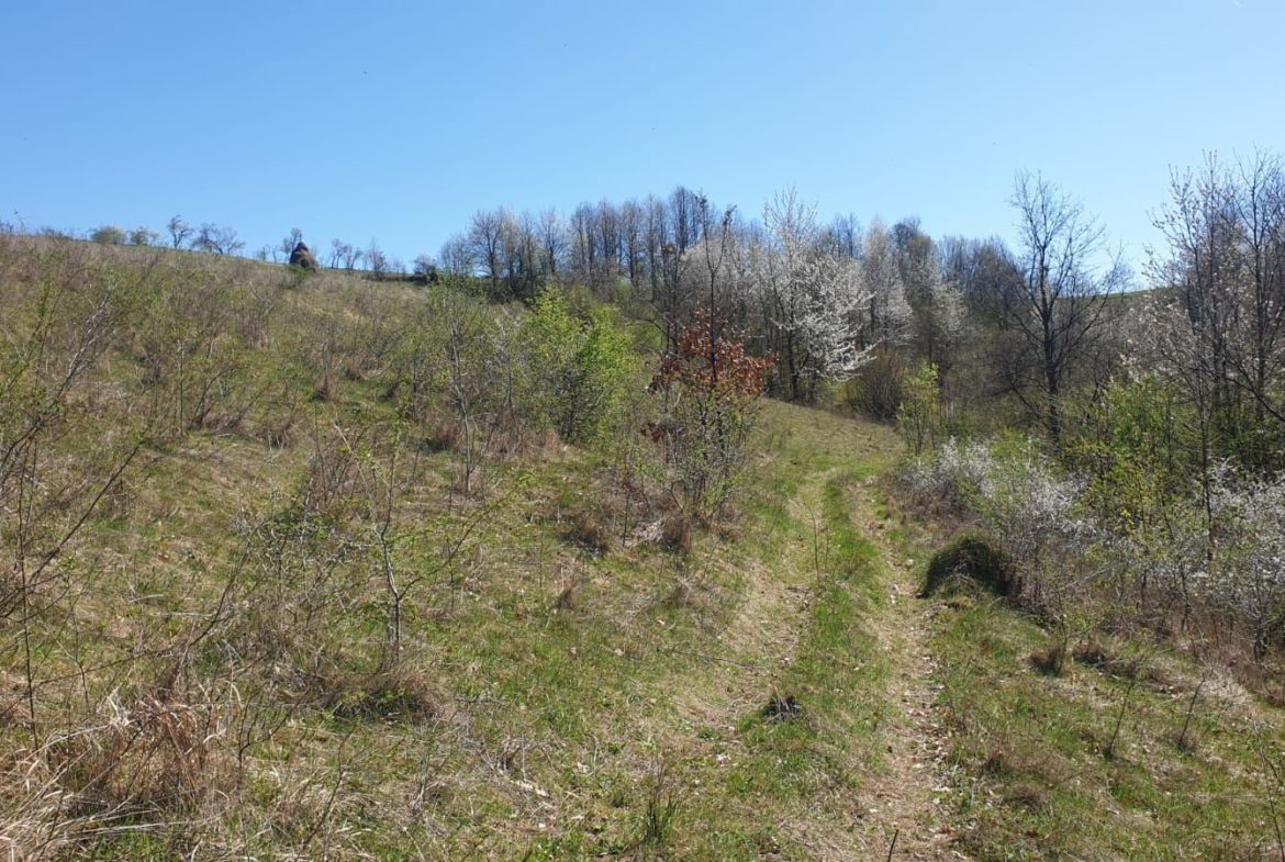 Teren cu panoramă fabuloasă, 10.059 mp, Roșia. 19.000 EUR. Comision 0 - foto 3