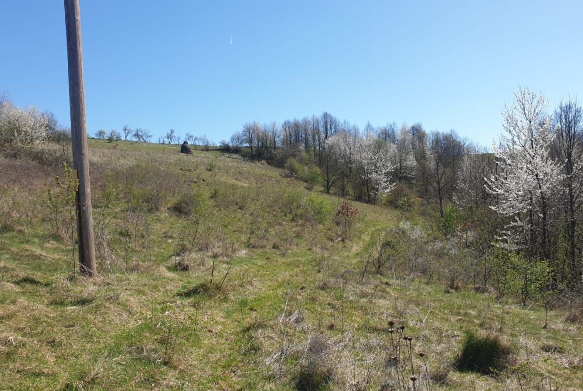 Teren cu panoramă fabuloasă, 10.059 mp, Roșia. 19.000 EUR. Comision 0 - foto 5