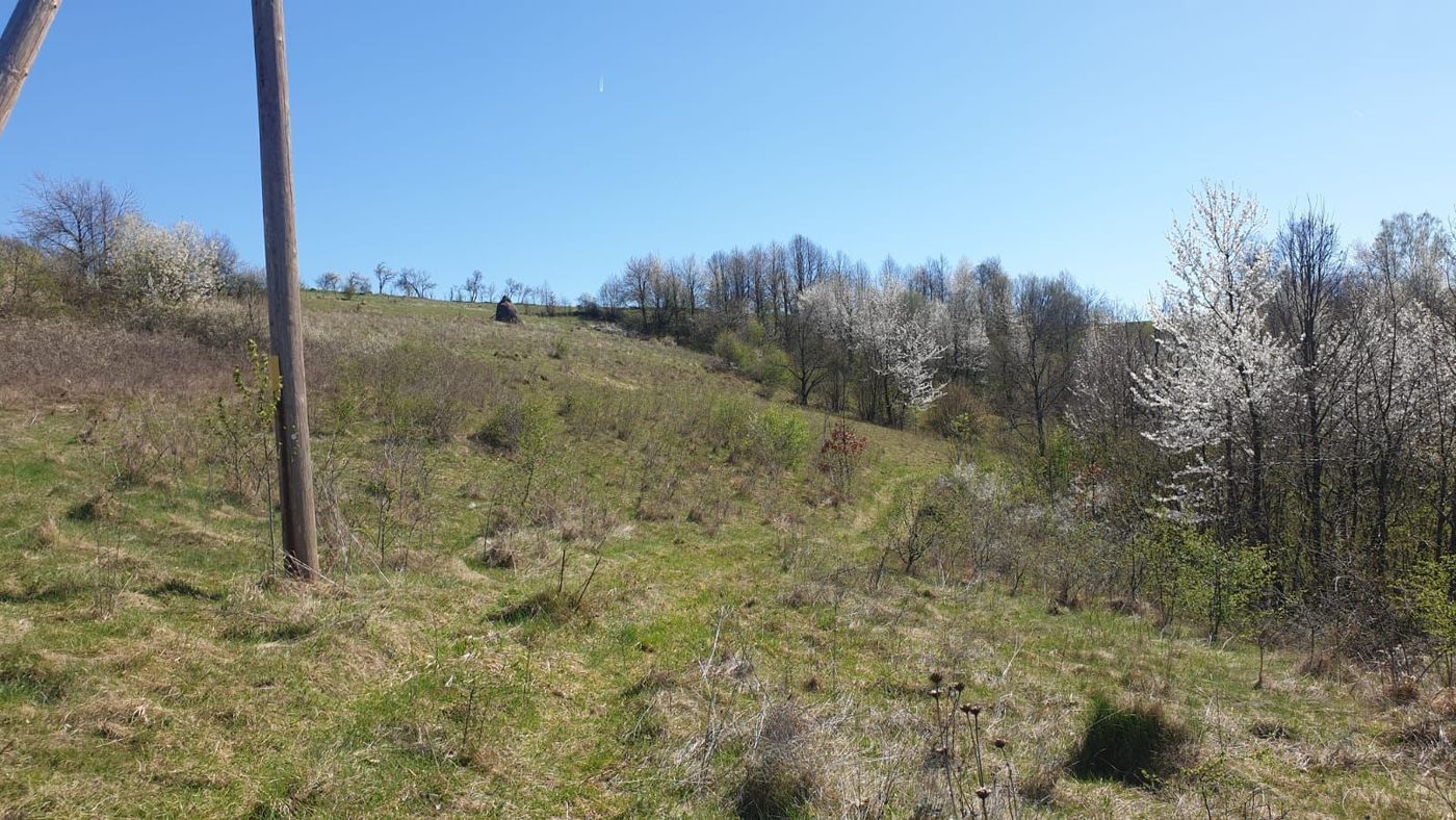 Teren cu panoramă fabuloasă, 10.059 mp, Roșia. 19.000 EUR. Comision 0 - foto 5