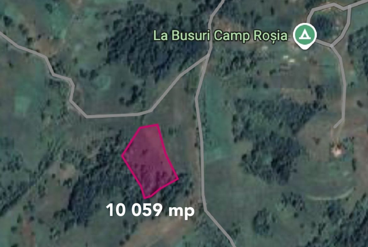 Teren cu panoramă fabuloasă, 10.059 mp, Roșia. 19.000 EUR. Comision 0 - foto 6