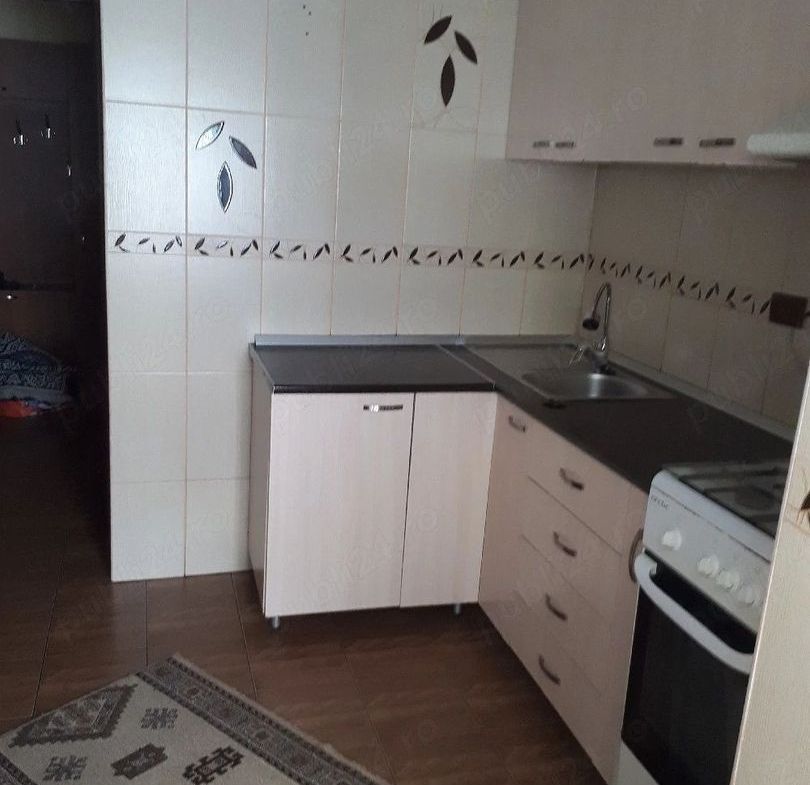 De închiriat apartament cu 2 camere, zona Doja, et. 1, 350 euro - foto 3