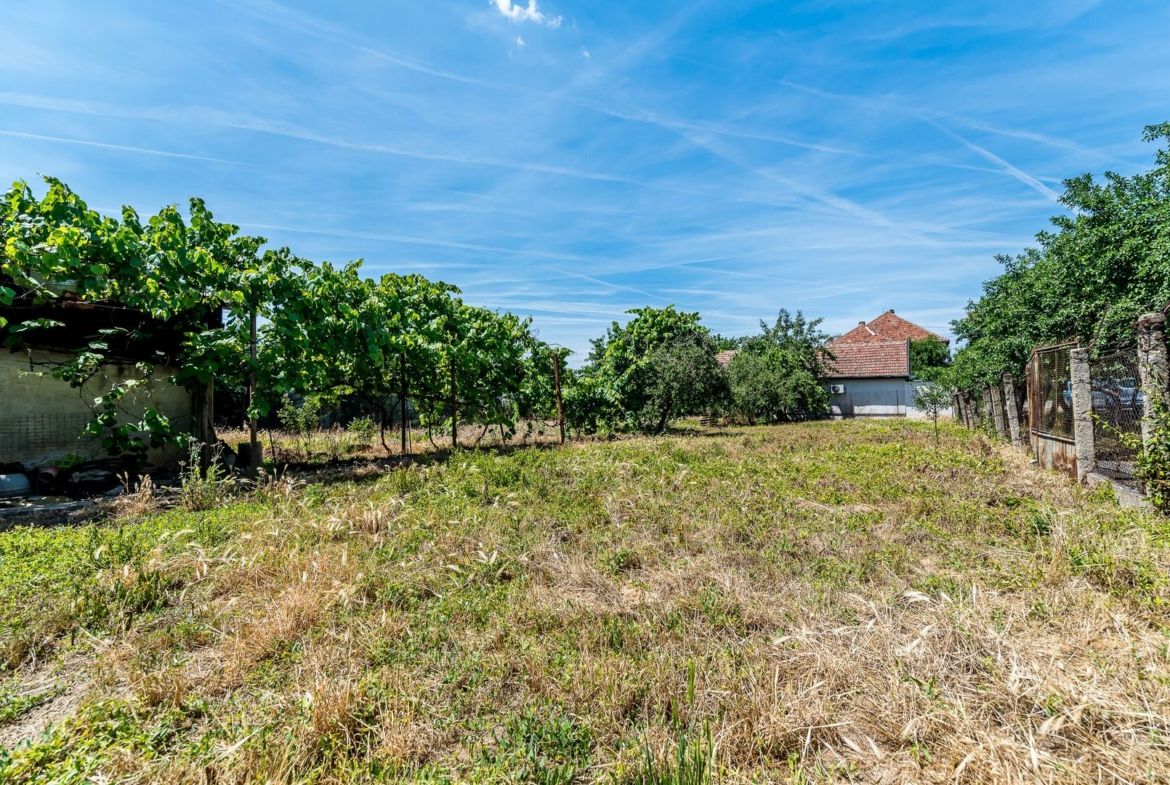 Casă cu teren 1018 mp și 2 fronturi stradale - Bujac - foto 5