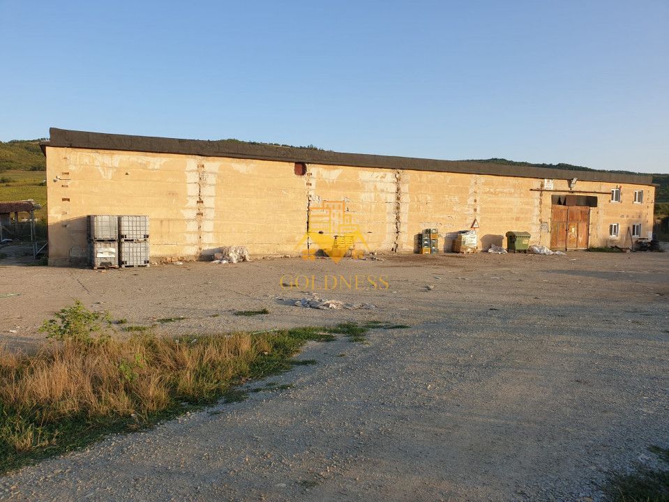 Hala industriala Dej cu platforma betonata curent trifazi - foto 6