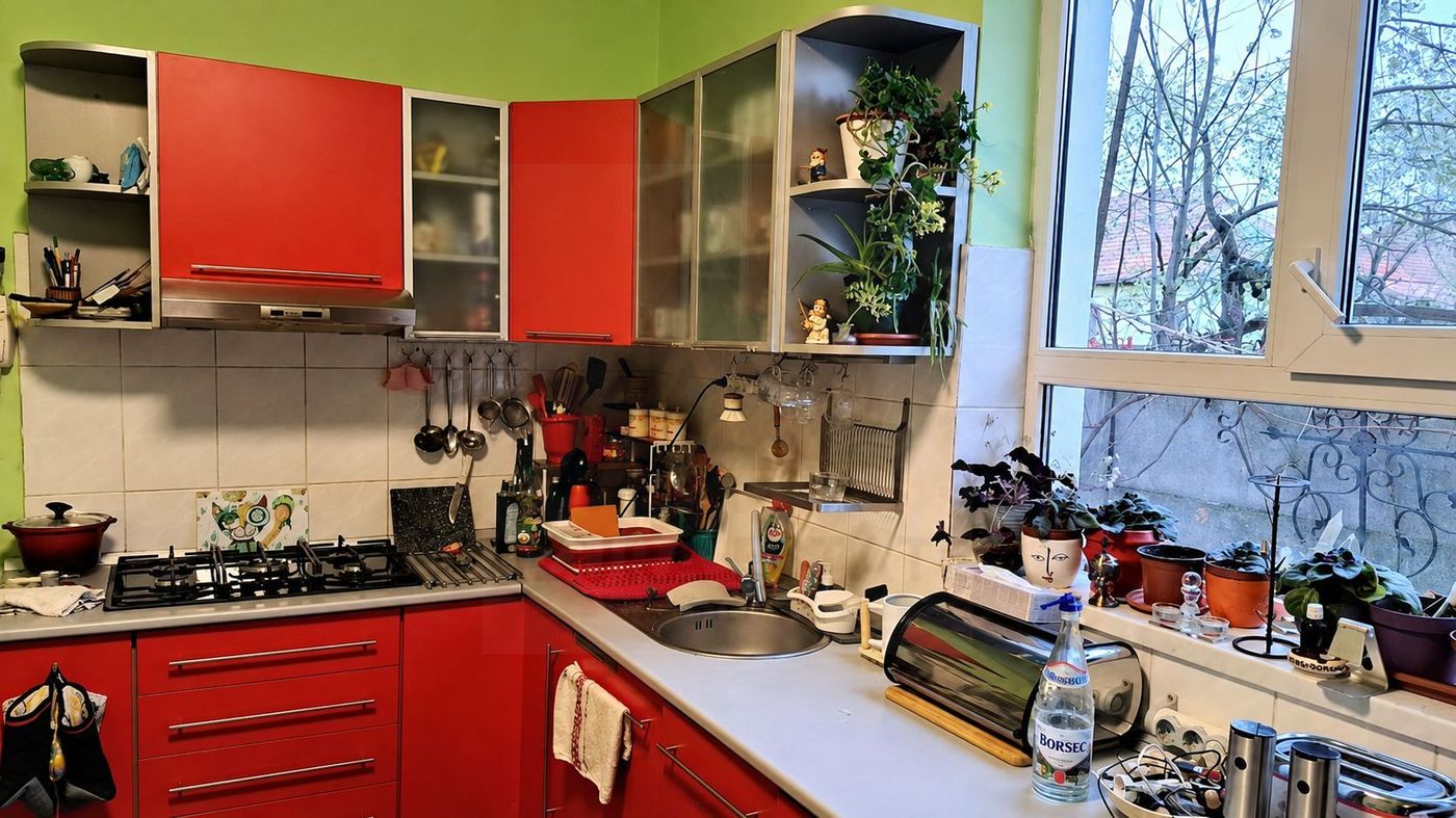 Casă individuala 279 mp utili anexe și teren 341 mp zona Trei Stejari - foto 3